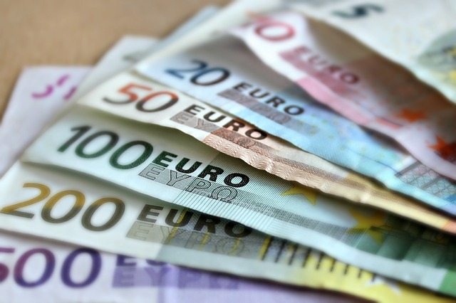 mezinárodní měna euro